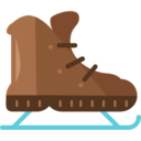 sports and competition,sports,leisure,ice skate,ice skating,winter sports